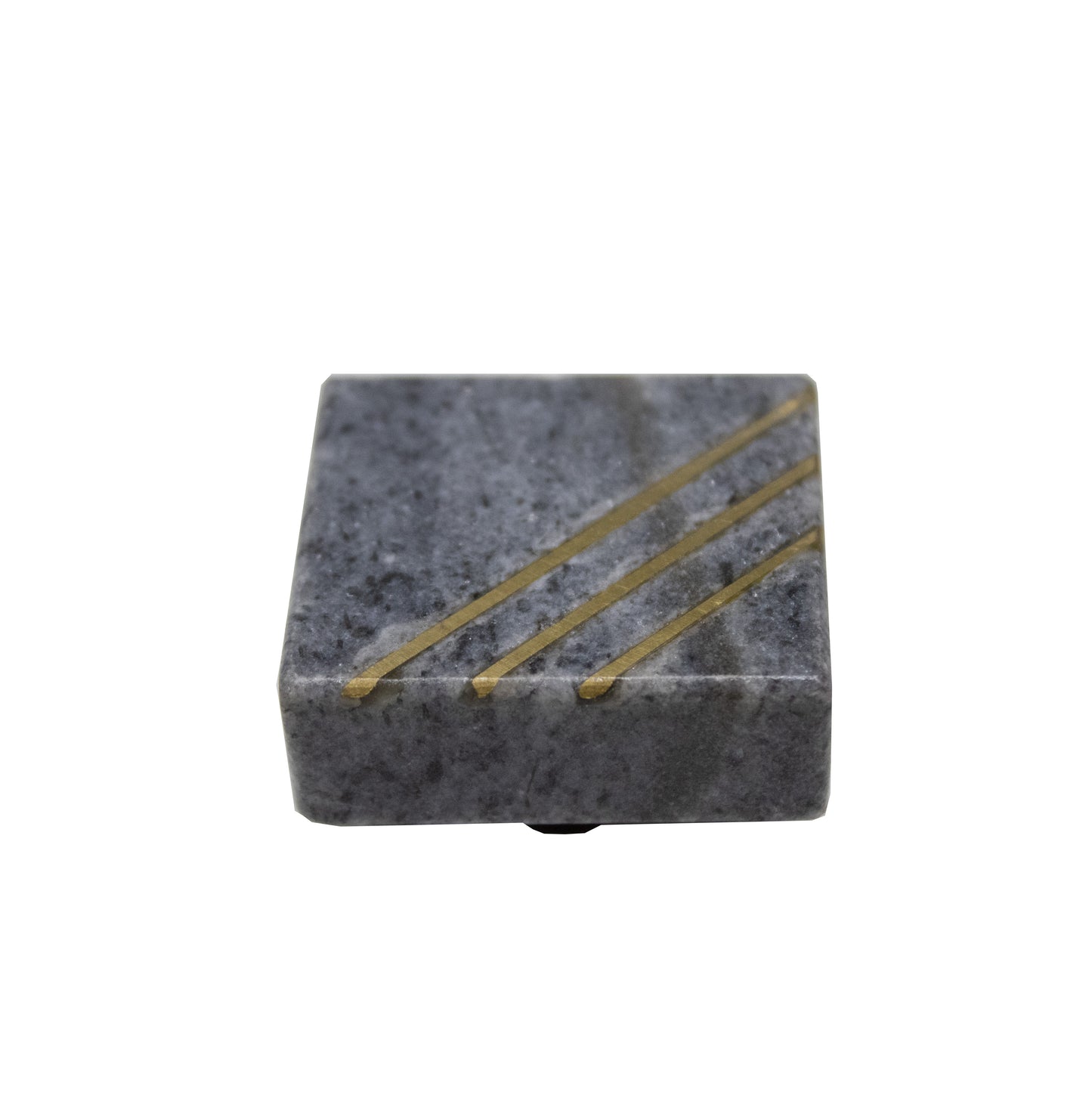 BOTON 1099GR